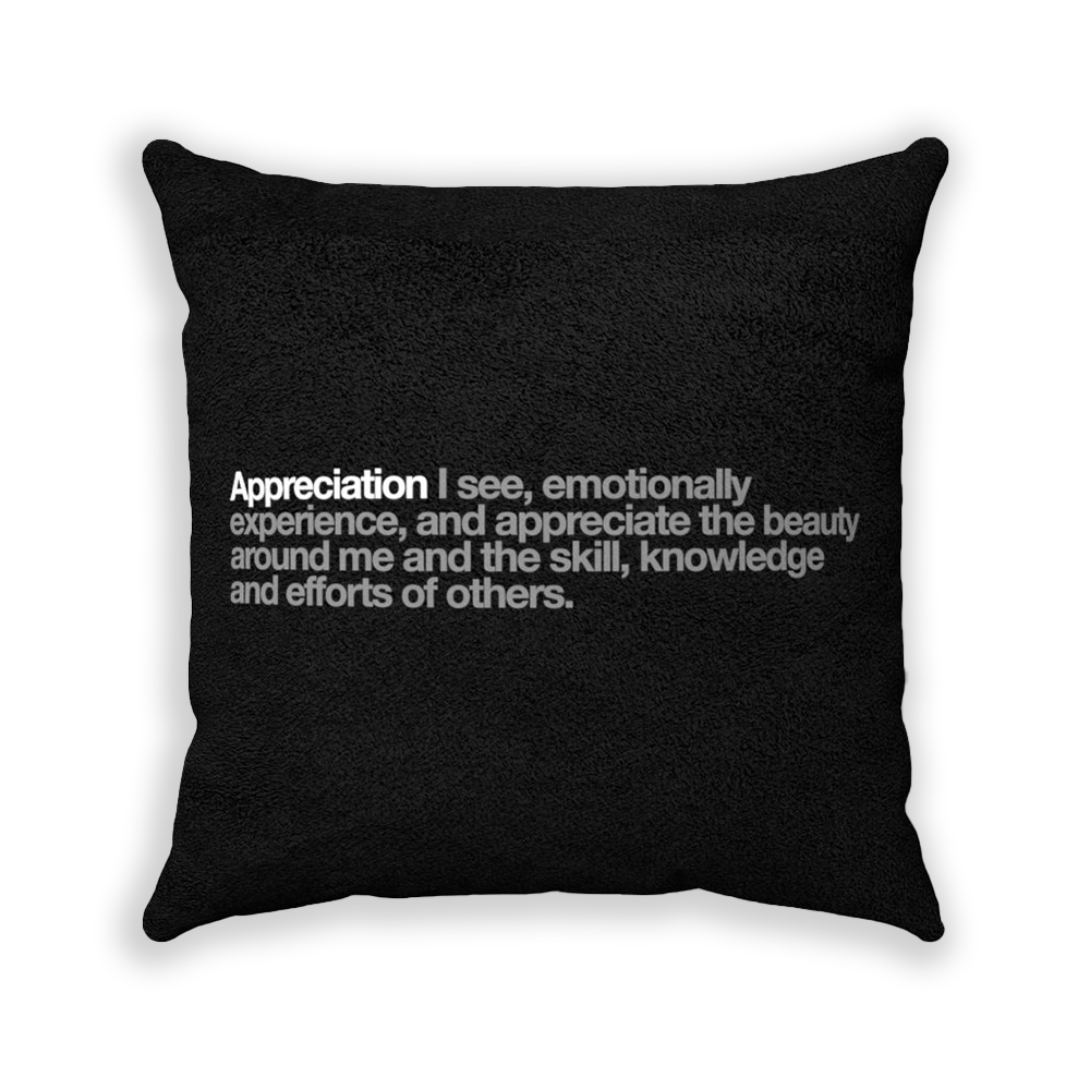 Appreciation Black Faux Suede Square Pillow - Various Sizes freeshipping - VALUES.INK