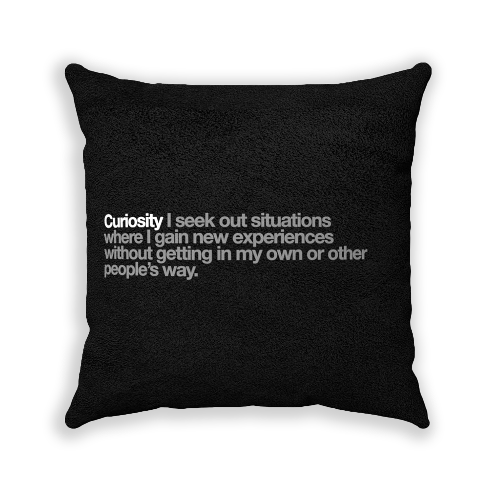 Curiosity Black Faux Suede Square Pillow - Various Sizes freeshipping - VALUES.INK