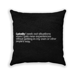 Curiosity Black Faux Suede Square Pillow - Various Sizes freeshipping - VALUES.INK