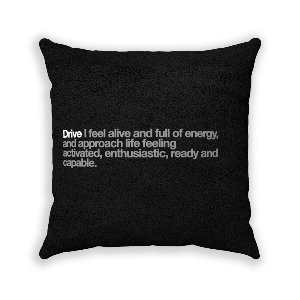 Drive Black Faux Suede Square Pillow - Various Sizes freeshipping - VALUES.INK