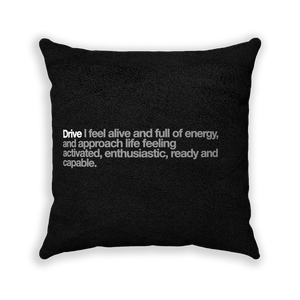 Drive Black Faux Suede Square Pillow - Various Sizes freeshipping - VALUES.INK