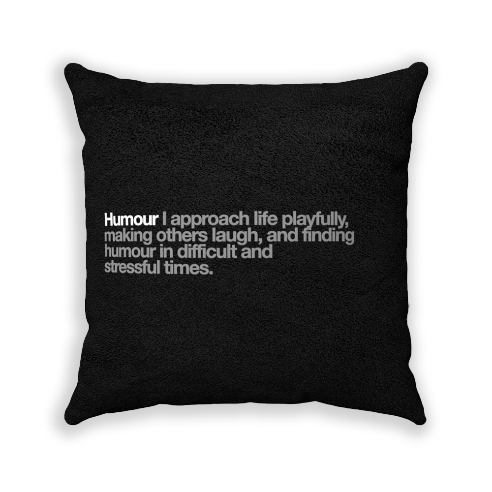 Humour Black Faux Suede Square Pillow - Various Sizes freeshipping - VALUES.INK