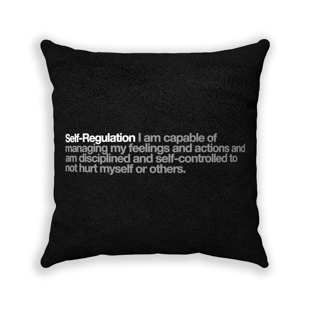 Self-Regulation Black Faux Suede Square Pillow - Various Sizes freeshipping - VALUES.INK